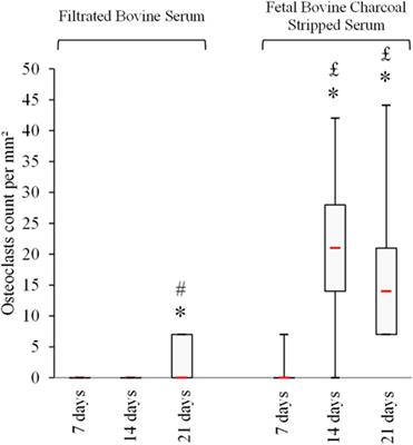 An Optimized Method to Generate Human Active Osteoclasts From Peripheral Blood Monocytes